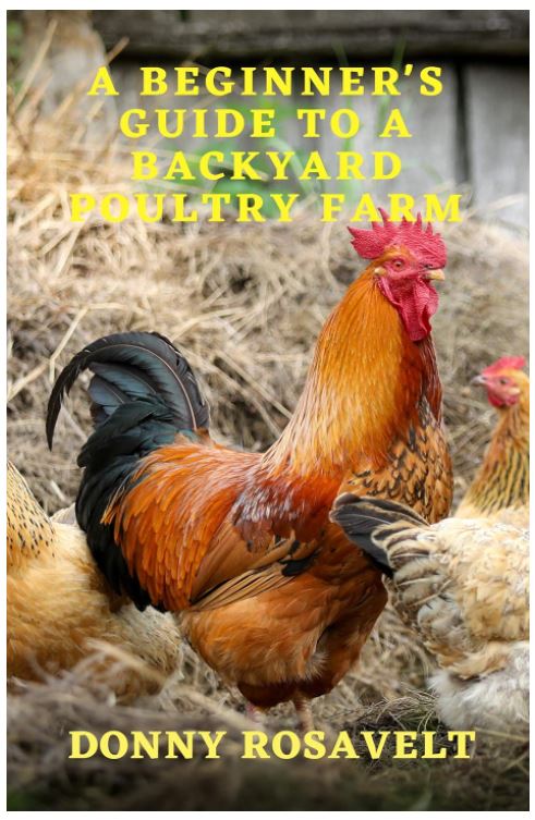 A Beginners Guide to a Backyard Poultry Farm