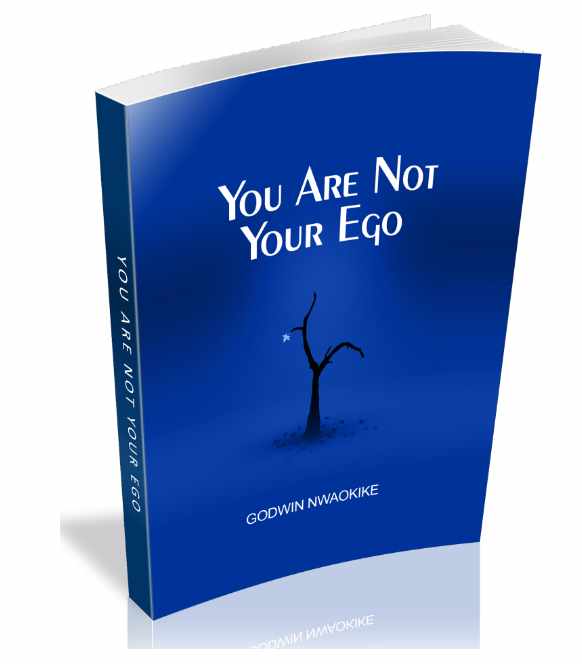 You Are Not Your Ego