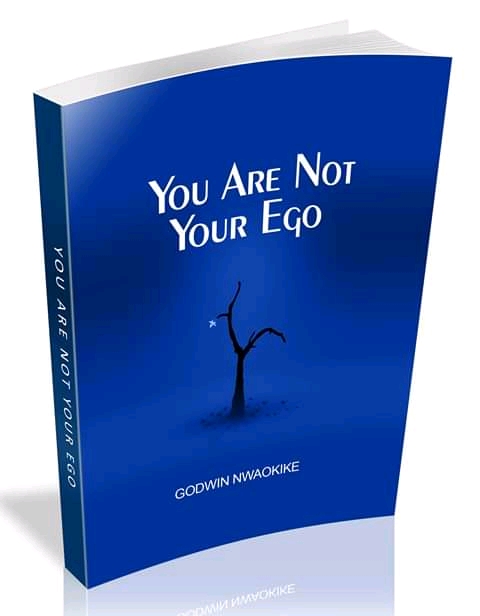 You Are Not Your Ego