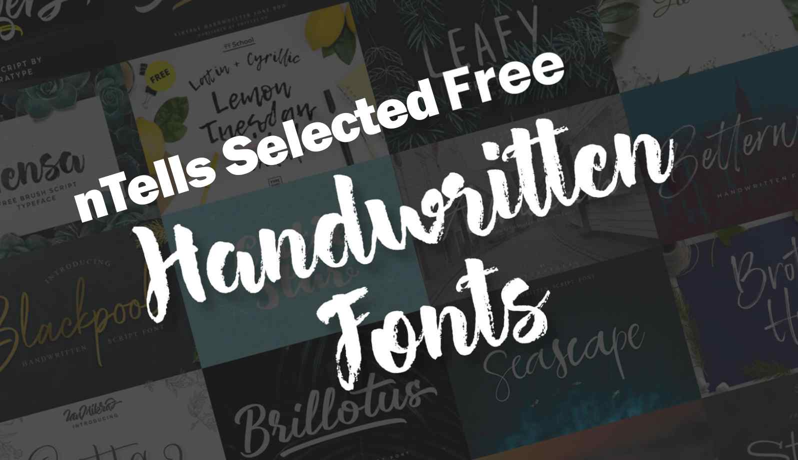 40+ Selected Beautiful Fonts