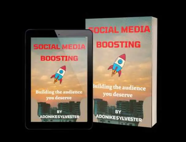 Social Media Boosting & Management Program