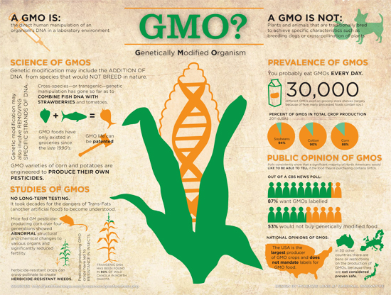 Genetically Modified Organism (GMO)