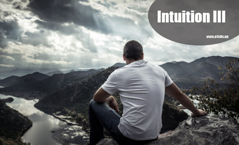 Intuition III