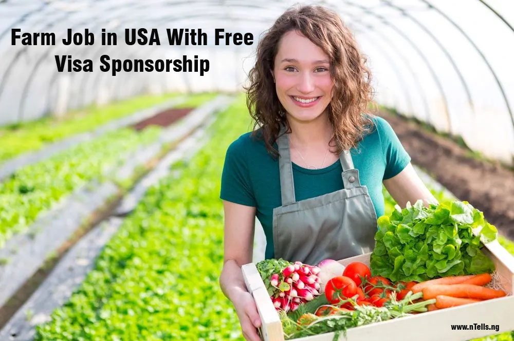 Farm Job in USA With Free Visa Sponsorship